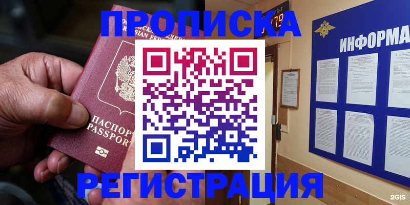 прописка гарантия в Новозыбкове
